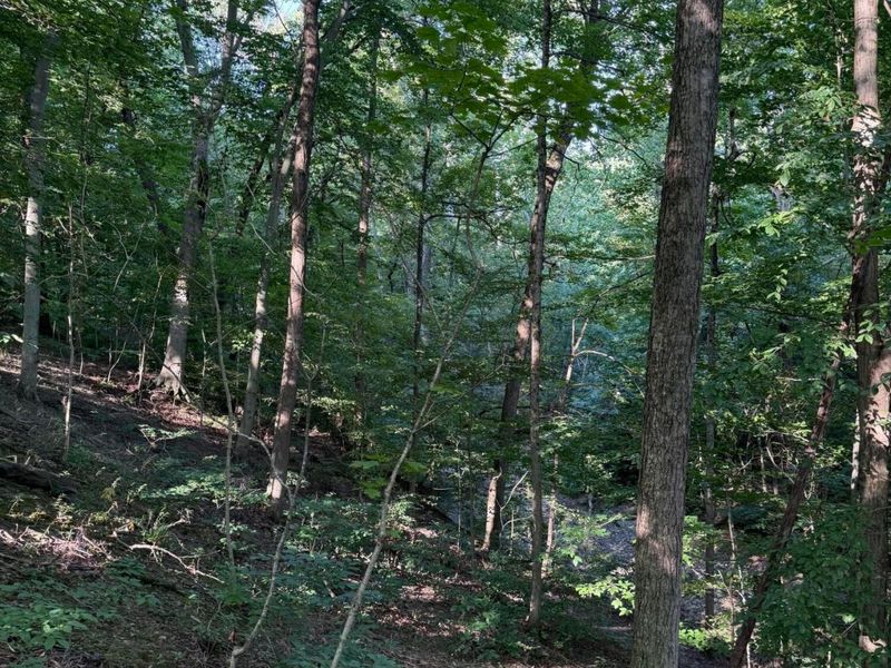 355 Green Hollow Drive SW, Pataskala, OH 43062 Photo 16