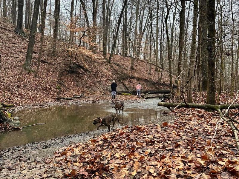 355 Green Hollow Drive SW, Pataskala, OH 43062 Photo 21