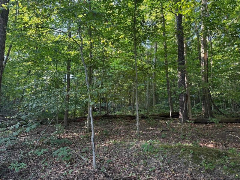 355 Green Hollow Drive SW, Pataskala, OH 43062 Photo 4