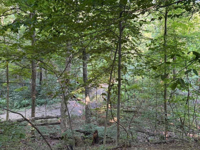355 Green Hollow Drive SW, Pataskala, OH 43062 Photo 7