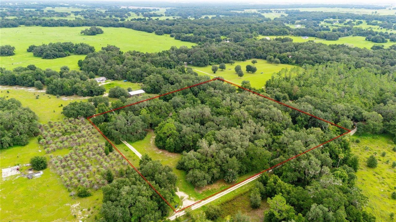 Se 44 Place, Bushnell, FL 33513 Photo