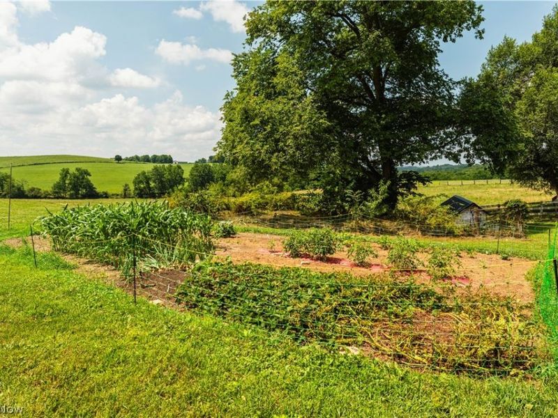 5642 County Road 59, Millersburg, OH 44654 Photo 7