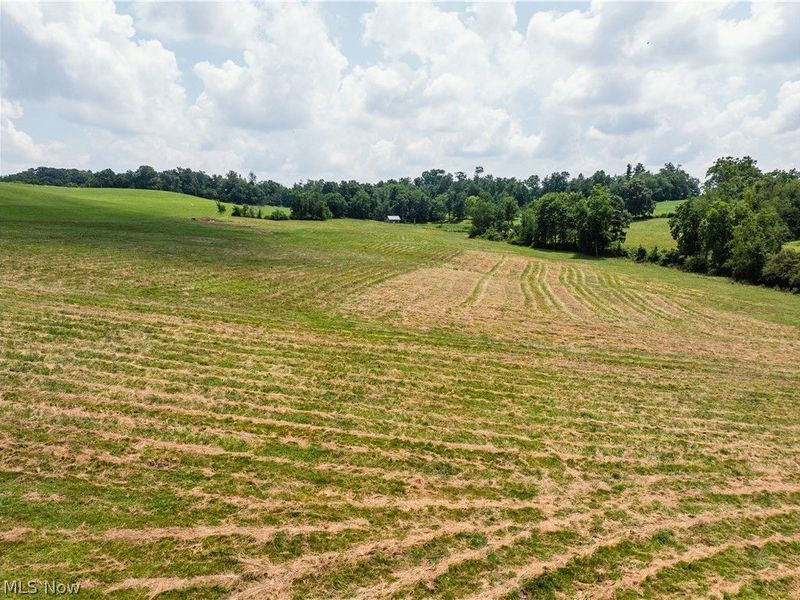County Road 59, Millersburg, OH 44654 Photo 4