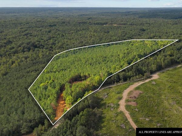 0 Eden Farm Rd , Unit 1, Camden, TN 38320
