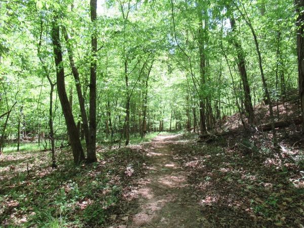 0 Chestatee Drive , Dahlonega, GA 30533