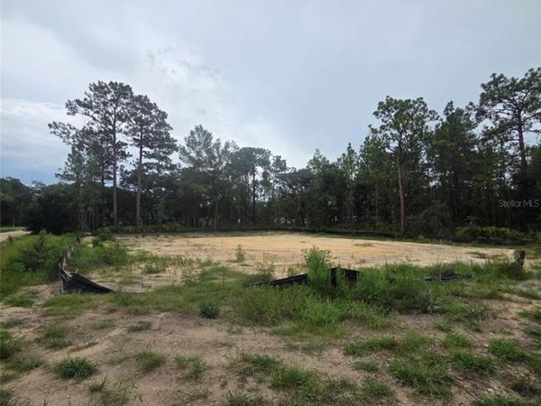 15326 MOTTLED OWL ROAD , WEEKI WACHEE, FL 34614