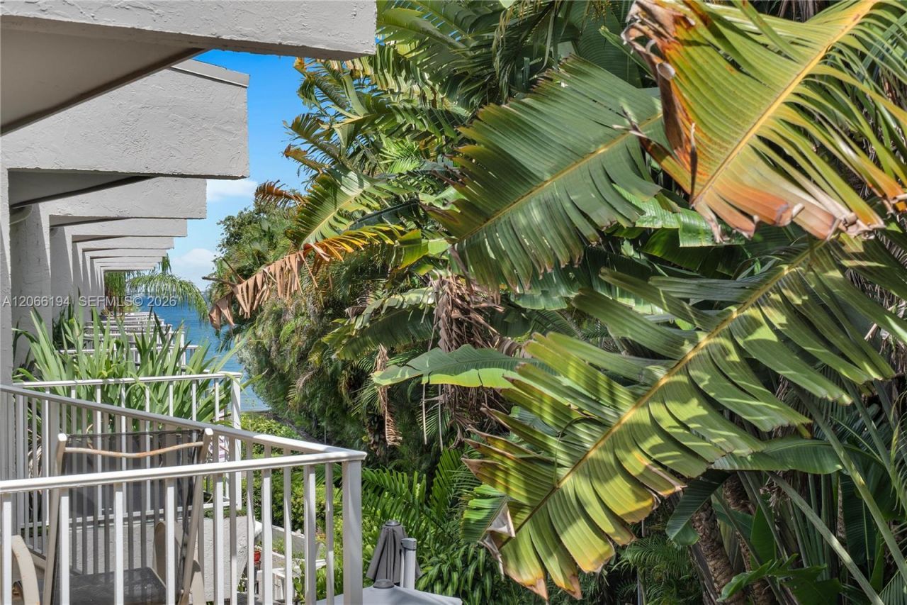 6011 N Bayshore Dr, Unit 10, Miami, FL 33137 Photo