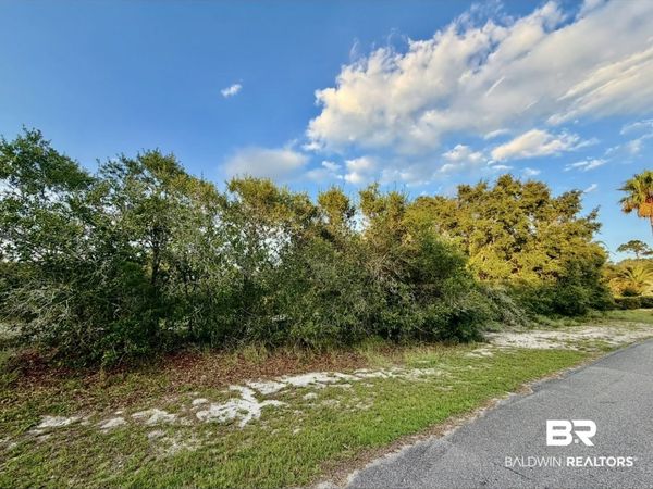 0 Harbour, Unit Lot 09, Orange Beach, AL 36561