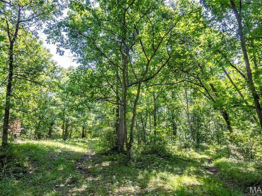 Property Image 67