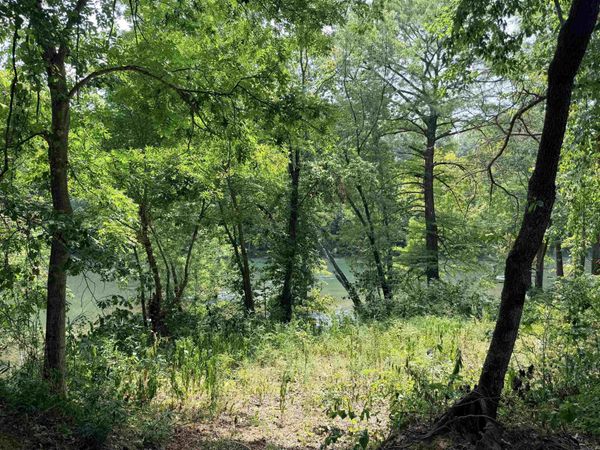 104 Adams Drive , Pangburn, AR 72121
