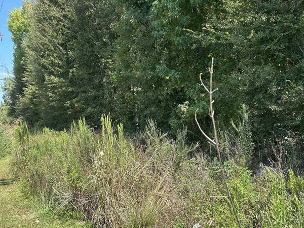 38375 La Hwy 979, Prairieville, LA 70769