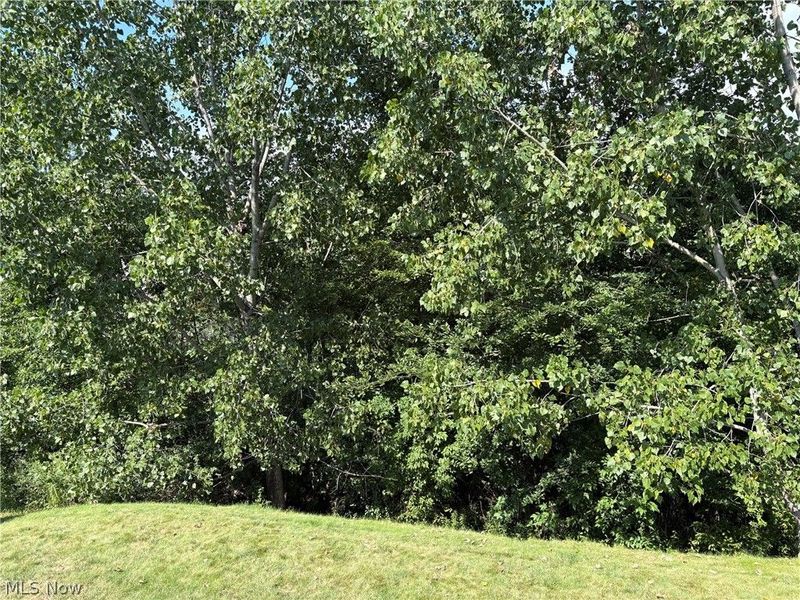 147 Quartz Avenue, Peninsula, OH 44264 Photo 50