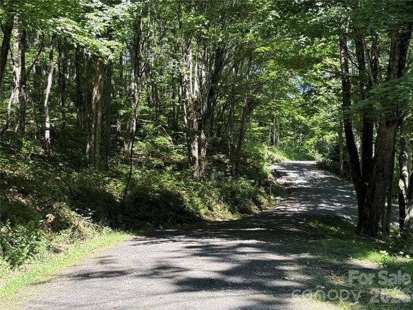 7 Wolfsbane Trail , Todd, NC 28684