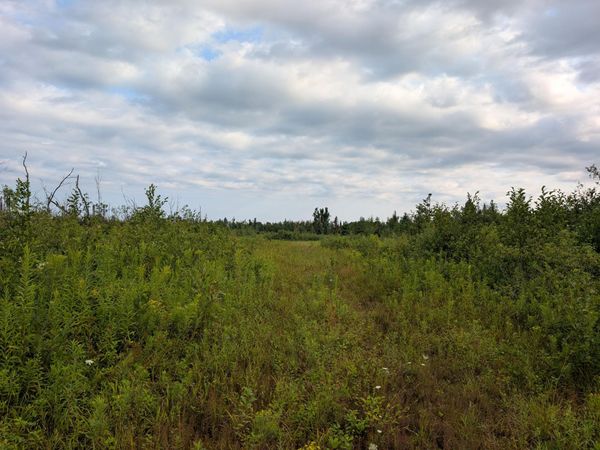 V/L 43AC Calcut Road, Lachine, MI 49753