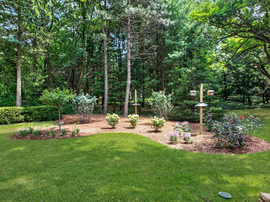 Property Image 54