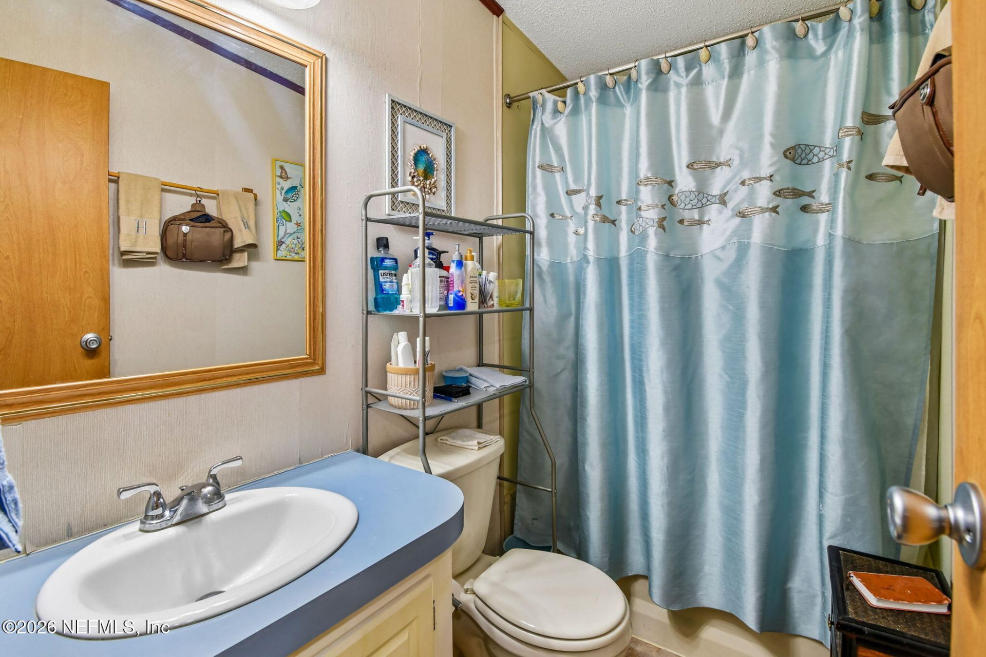 113 S Lake George Drive, Georgetown, FL 32139 Photo