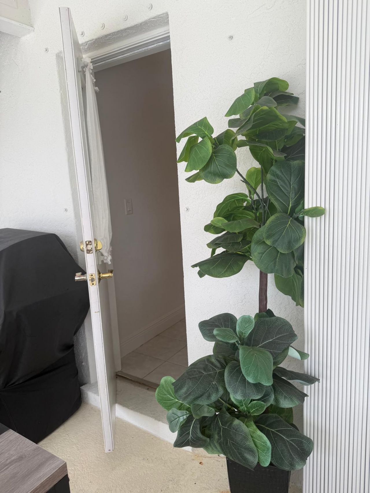1824 SE 1st Terrace, Cape Coral, FL 33990 Photo