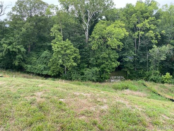 2041 Lily Avenue , Kirkwood, MO 63122