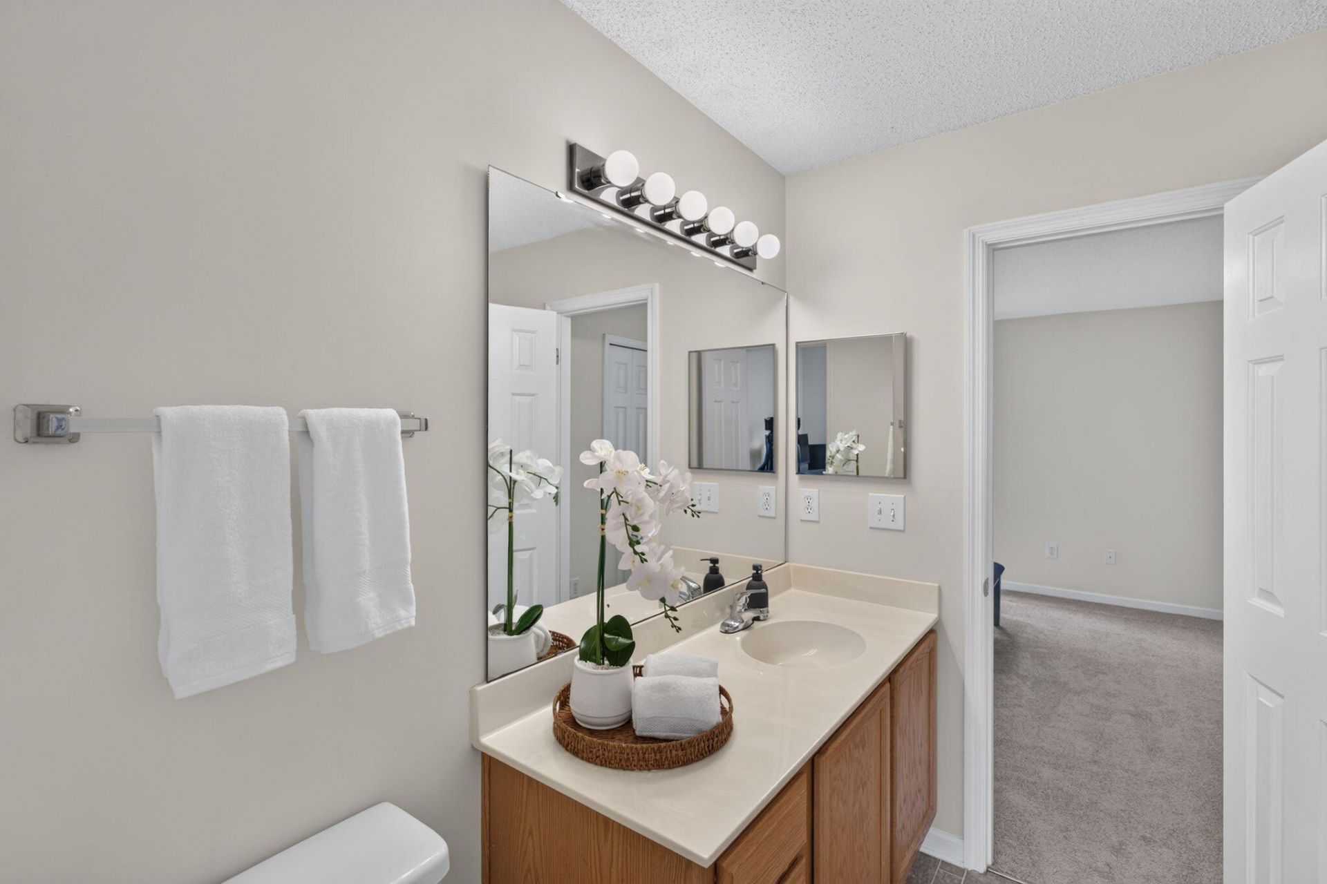 303 Tree Branch Circle Photo 16