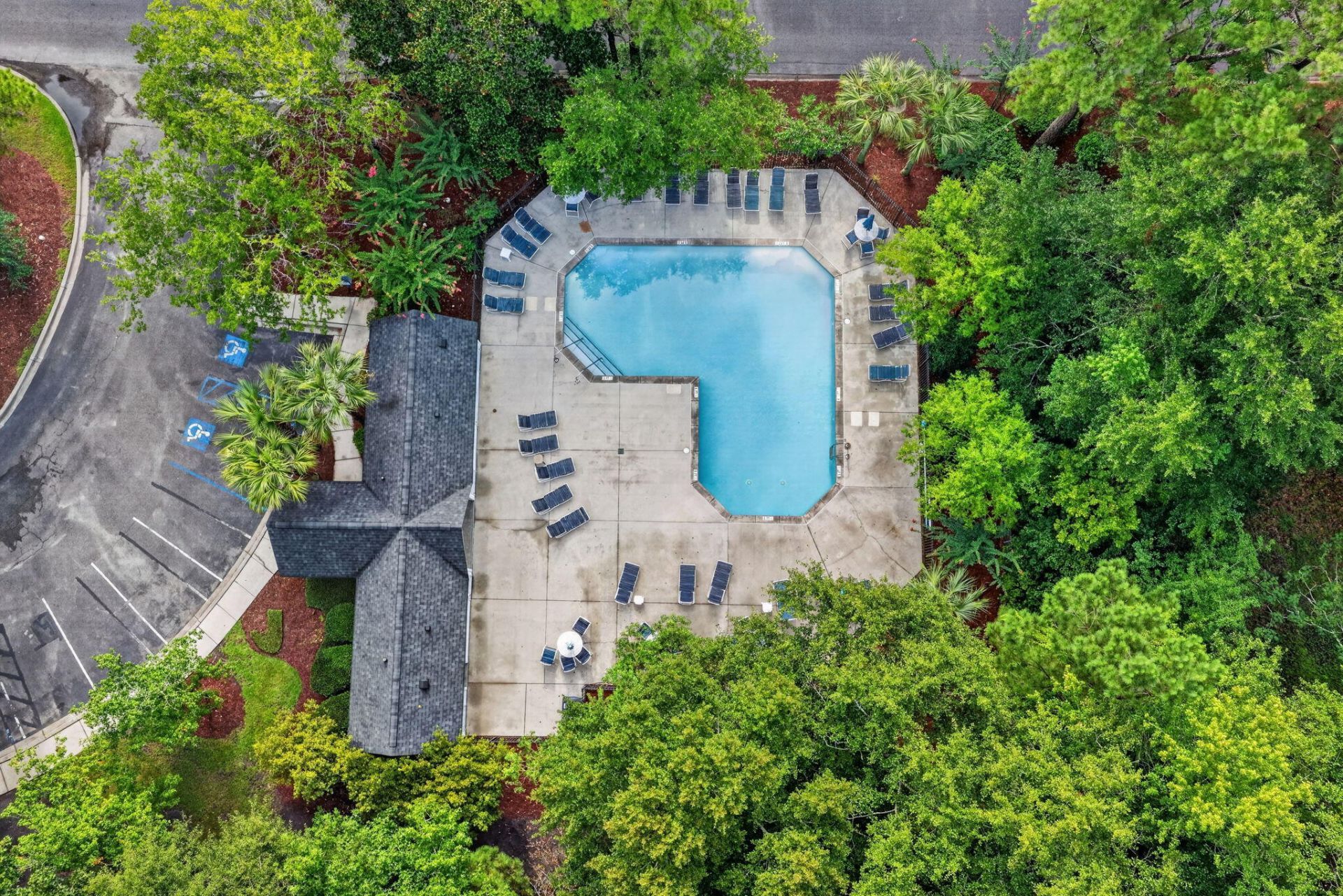 303 Tree Branch Circle Photo 24
