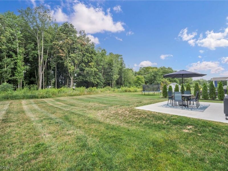 3159 Azalea Ridge Drive, Perry, OH 44081 Photo 3