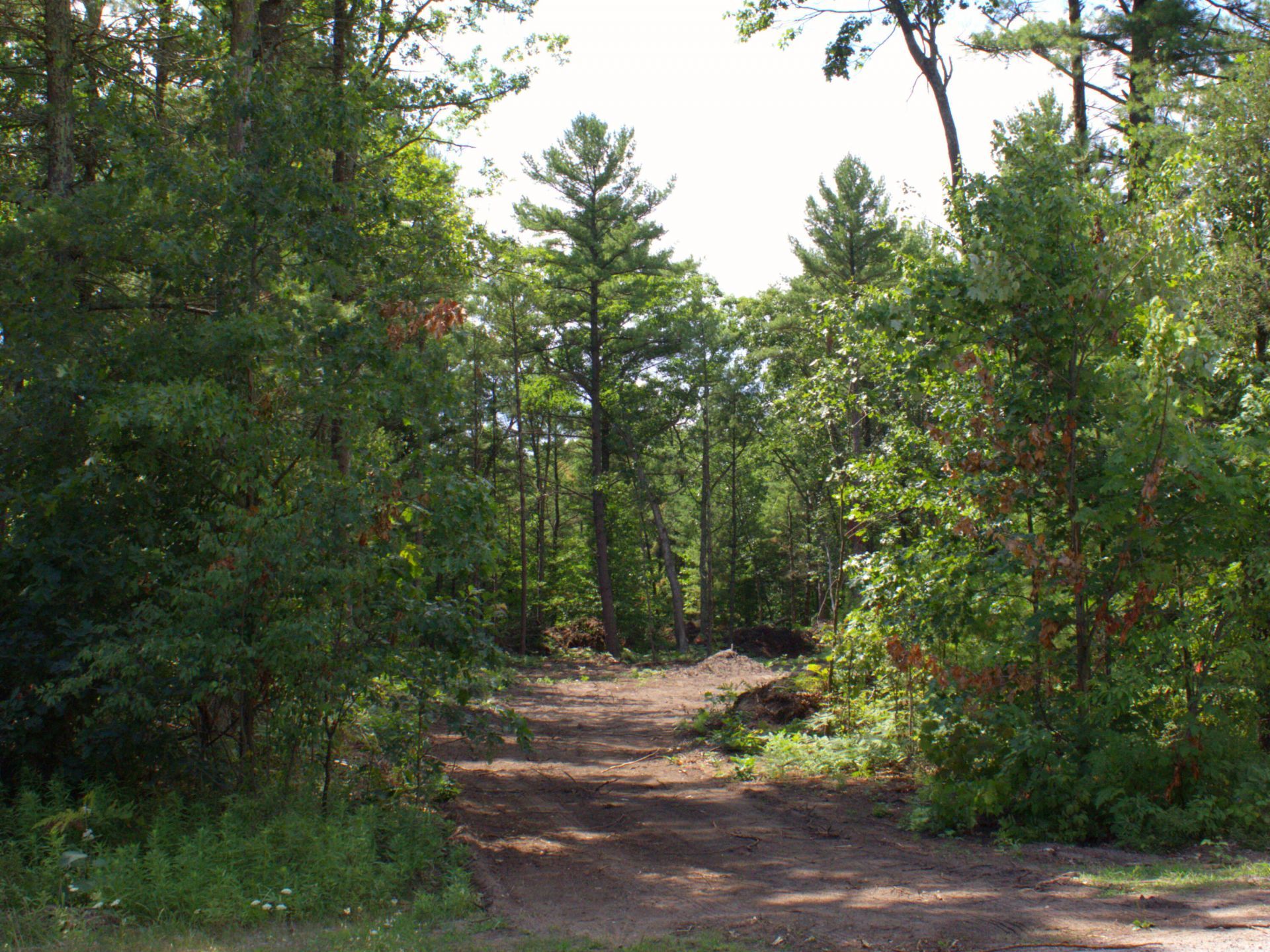 Vl Danc Drive, Twin Lake, MI 49457 Main Photo