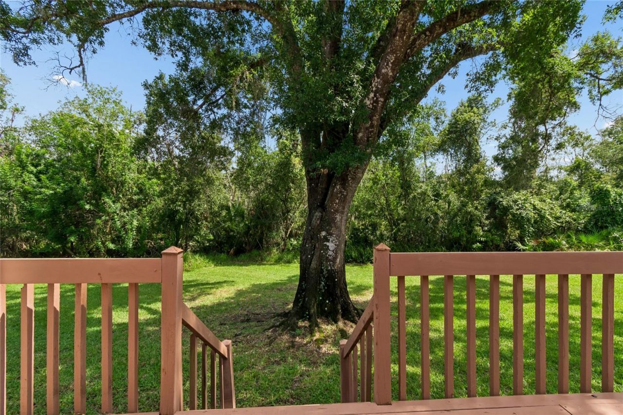 1055 Riverside Ridge Road, Tarpon Springs, FL 34688 Photo