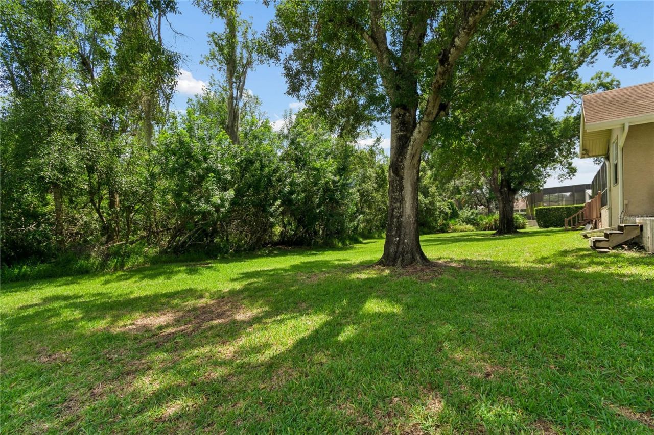 1055 Riverside Ridge Road, Tarpon Springs, FL 34688 Photo