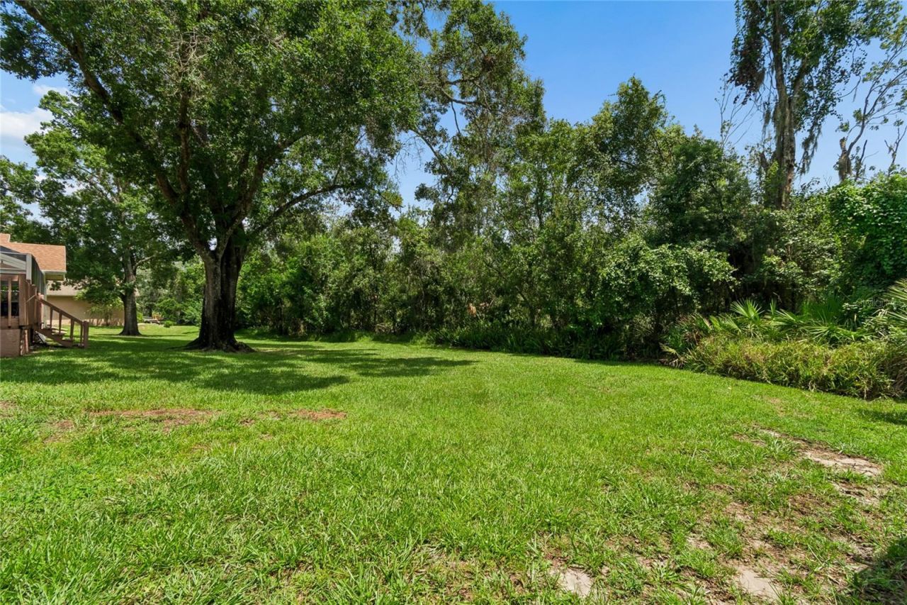 1055 Riverside Ridge Road, Tarpon Springs, FL 34688 Photo