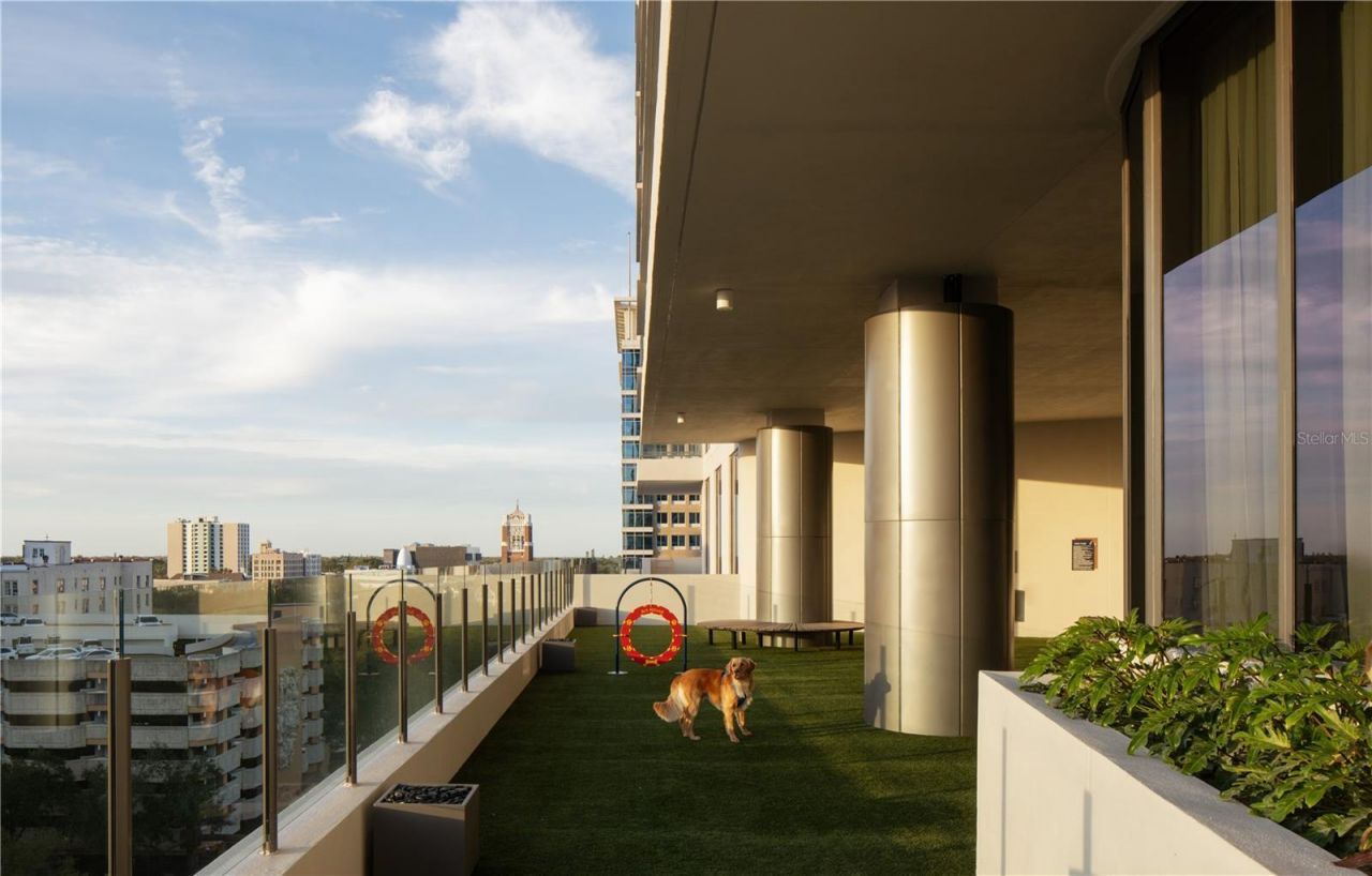 275 1st Avenue S, Unit 3405, Saint Petersburg, FL 33701 Photo