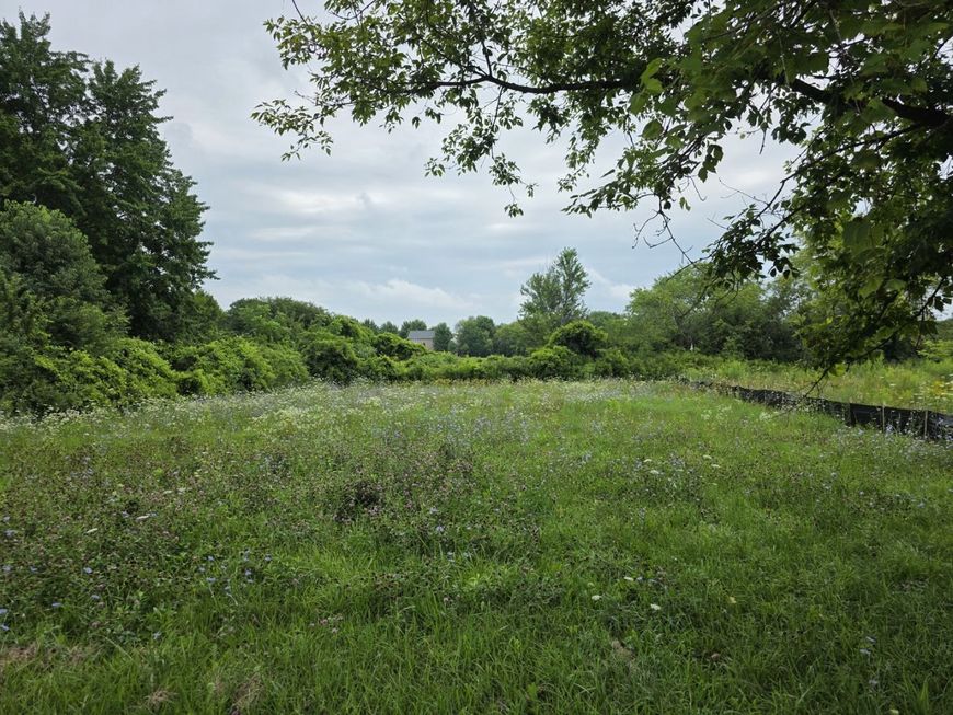 Main Photo