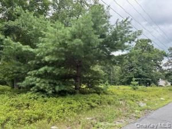 695 Big Pond Road , Huguenot, NY 12746