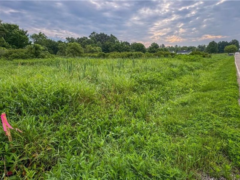 0 Pontius Road, Mogadore, OH 44260 Photo 14
