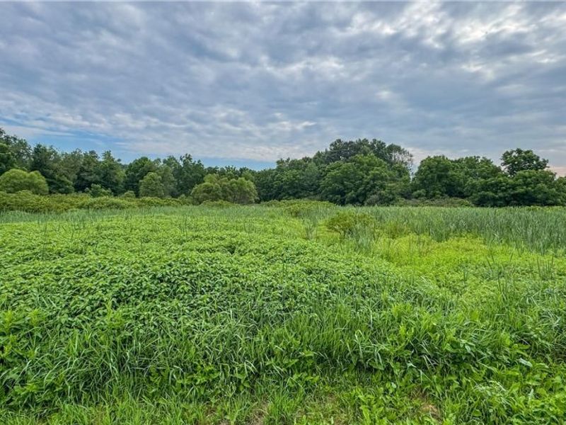 0 Pontius Road, Mogadore, OH 44260 Photo 22