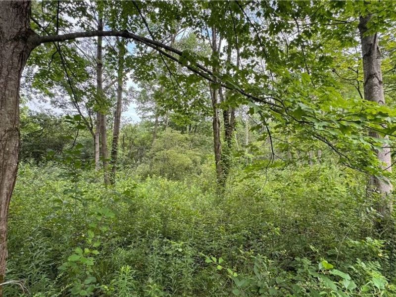 0 Pontius Road, Mogadore, OH 44260 Photo 24