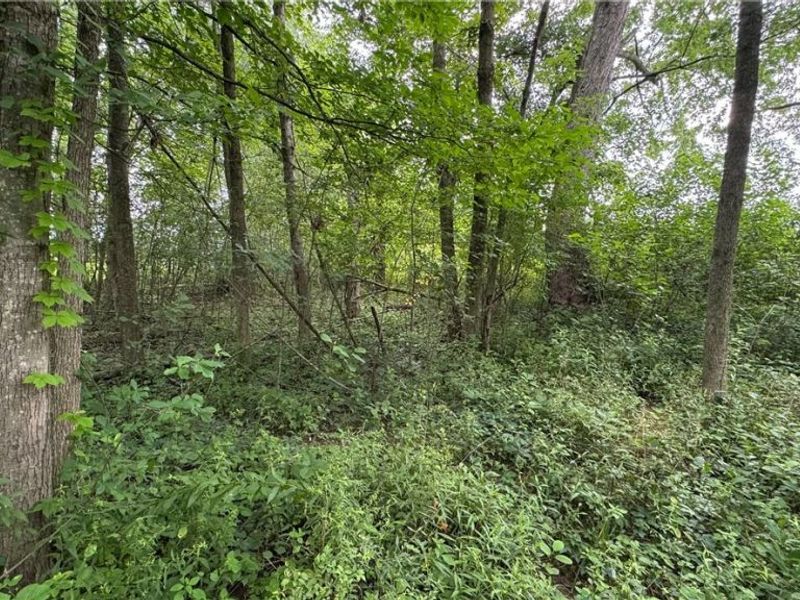 0 Pontius Road, Mogadore, OH 44260 Photo 28