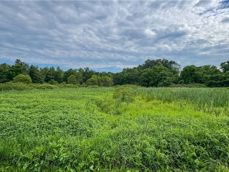 0 Pontius Road, Mogadore, OH 44260 Photo 32