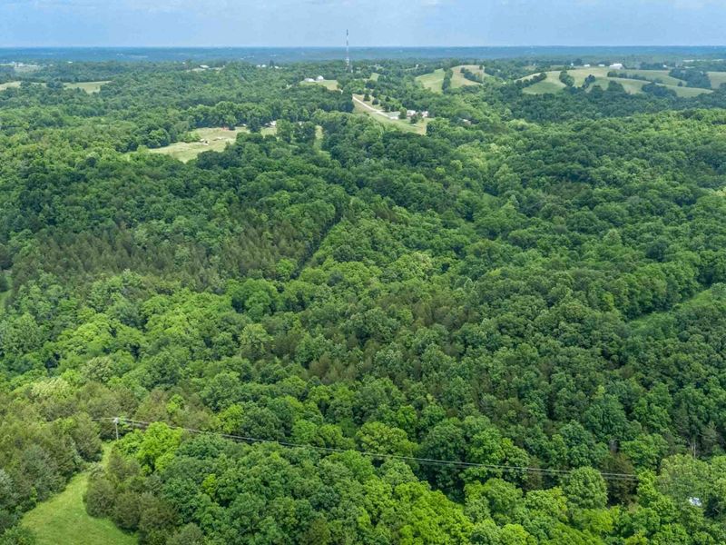 2795 Fords Mill Road, Dry Ridge, KY 41035 Photo 42