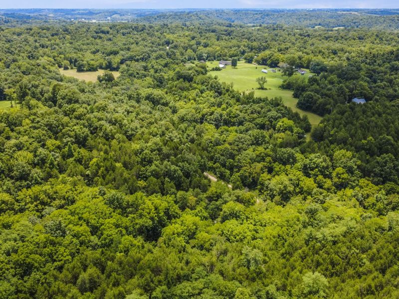 2795 Fords Mill Road, Dry Ridge, KY 41035 Photo 44