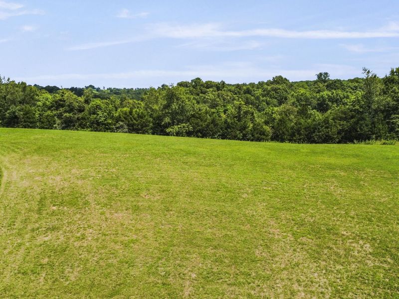 2795 Fords Mill Road, Dry Ridge, KY 41035 Photo 6