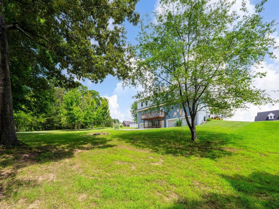 Property Image 63