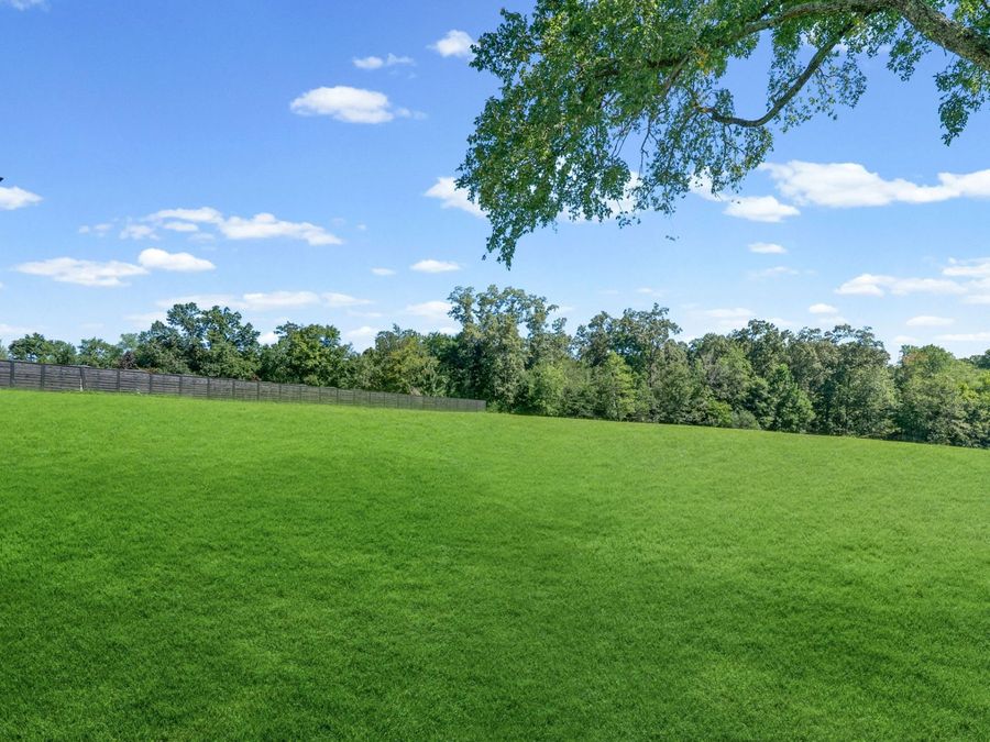 Property Image 65