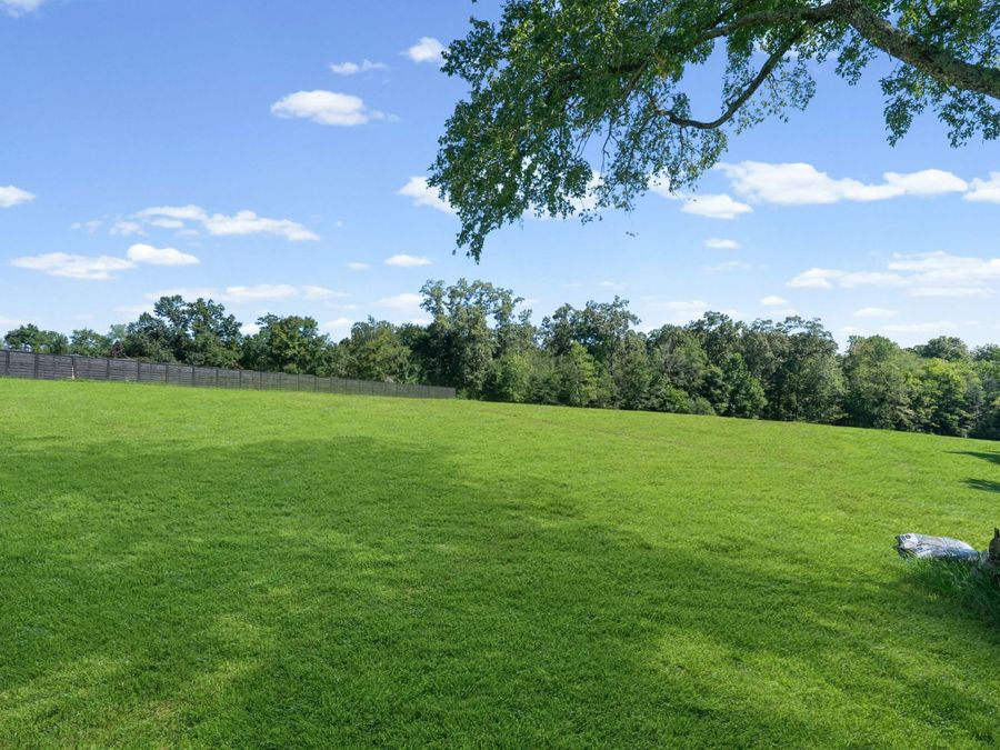 Property Image 74