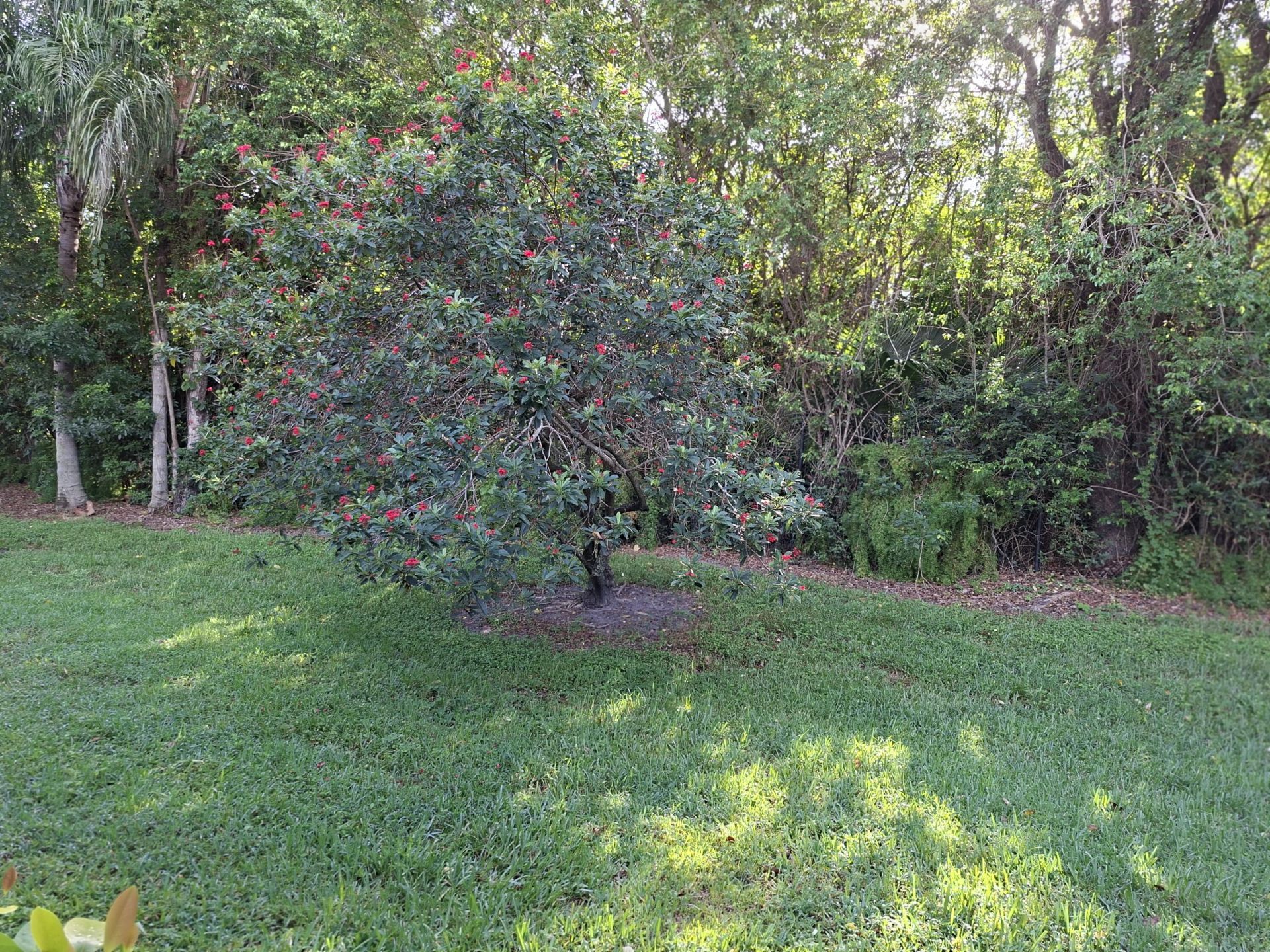10032 Andrea Lane, Boynton Beach, FL 33437 Photo