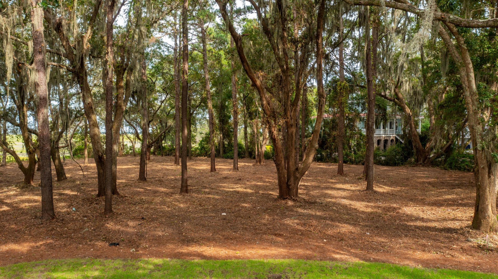 628 Parrot Point Drive Photo 10