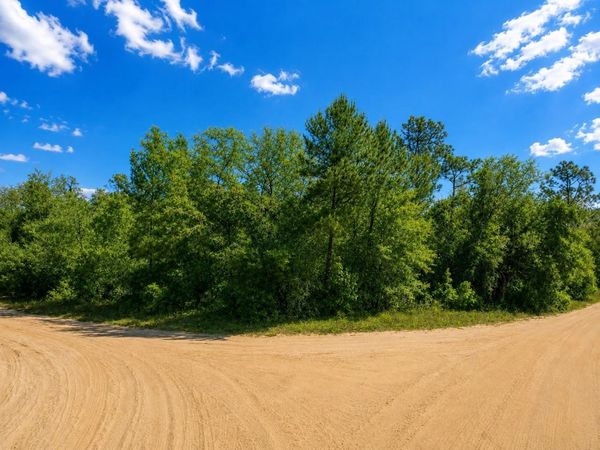 TBD DOGWOOD DRIVE , INTERLACHEN, FL 32148