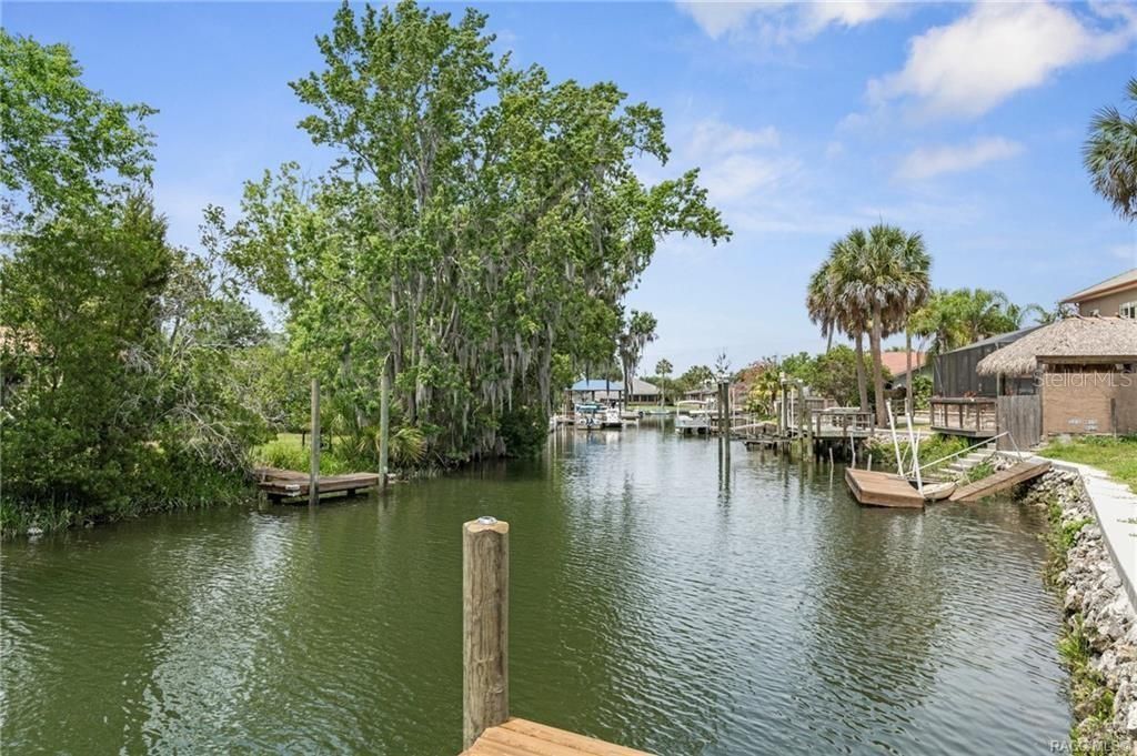 9205 W Harbor Isle Court, Crystal River, FL 34429 Photo