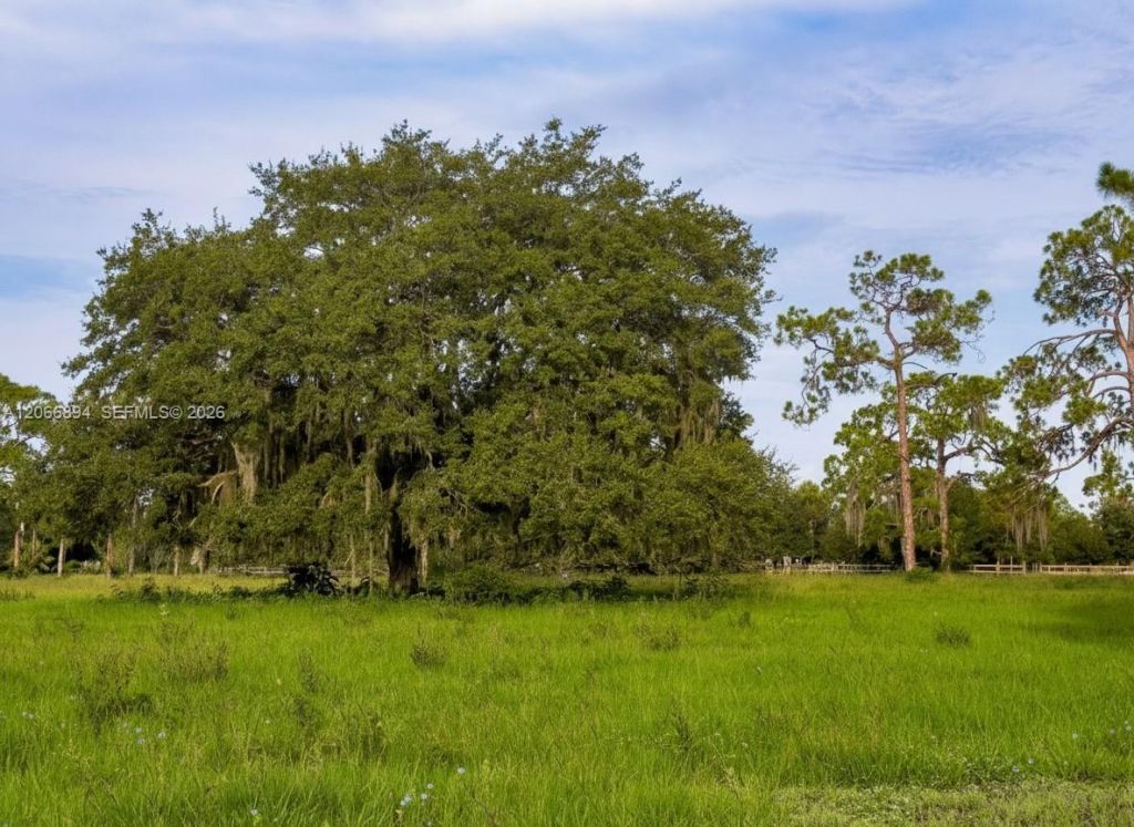 3291 Fort Denaud Rd , La Belle, FL 33935 Photo