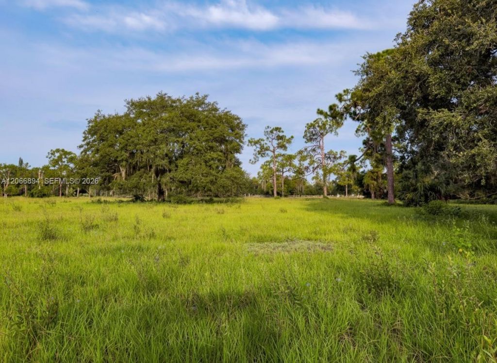 3291 Fort Denaud Rd , La Belle, FL 33935 Photo