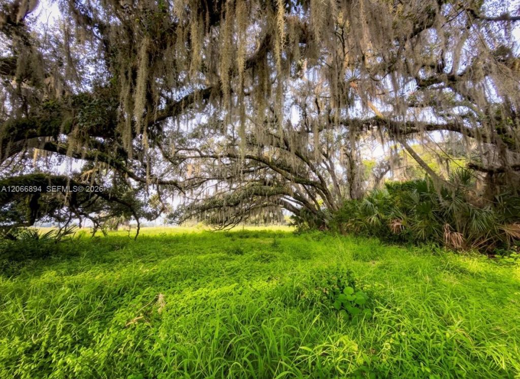 3291 Fort Denaud Rd , La Belle, FL 33935 Photo